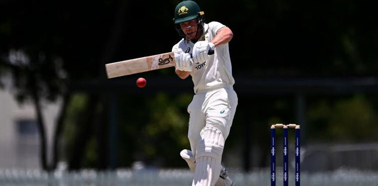 Australia crush India by 10 wickets to win second Test