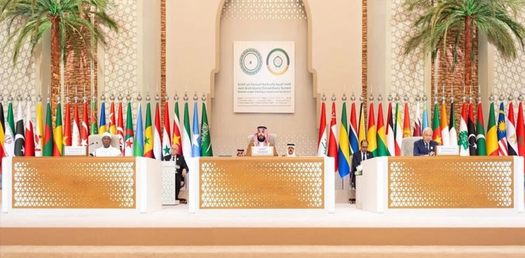 PM Shehbaz set to attend Arab Islamic moot, COP29