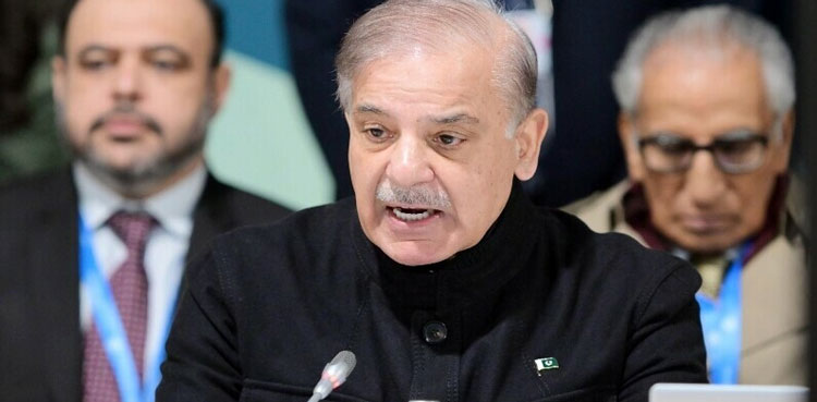 PM Shehbaz to represent Pakistan at D-8 Summit in Egypt