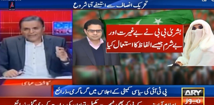 Bushra Bibi’s 'harsh' words behind resignations of PTI leaders