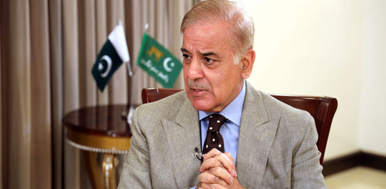 PM Shehbaz adds two names to govt committee for talks with PTI