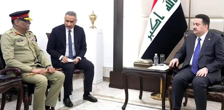 Pakistan, Iraq vow to strengthen defence ties