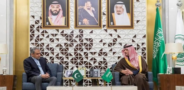 Pakistani, Saudi interior ministers discuss enhanced security cooperation