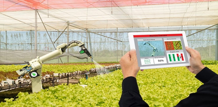 Punjab to get Chinese robotic agriculture boost