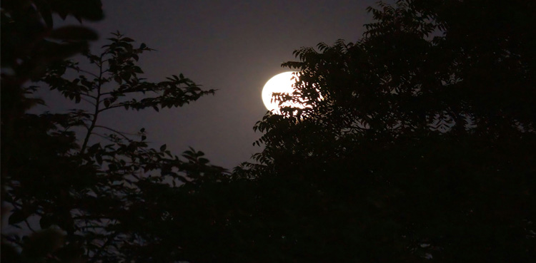 Winter solstice: Pakistan witnesses longest night of 2024