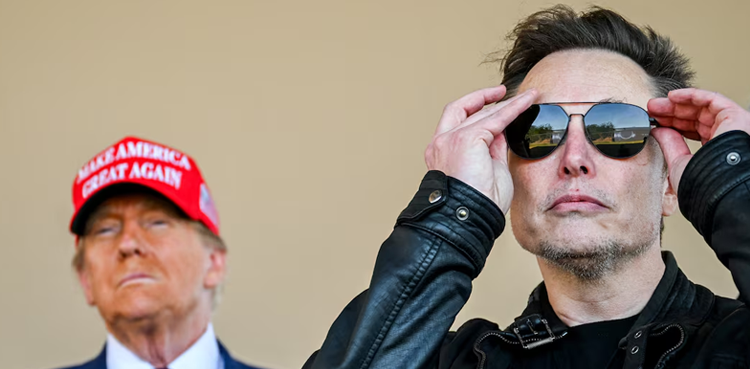 Trump sides with Elon Musk in H-1B visa debate, says he's always been in favor of the program