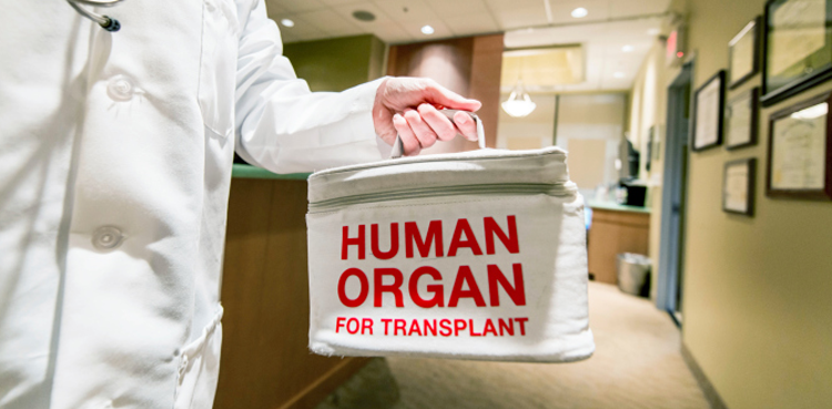 Organ transplants temporarily banned in Islamabad