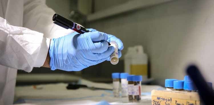 Poliovirus detected in environmental samples of 26 districts