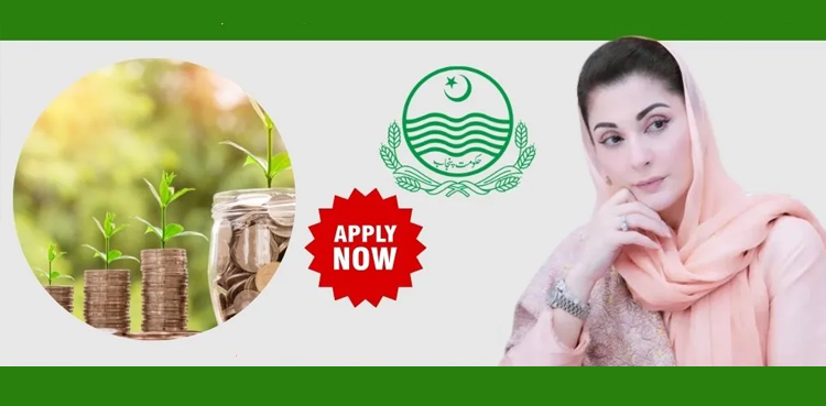 Asaan Karobar loan scheme eligibility, application process: A complete guide