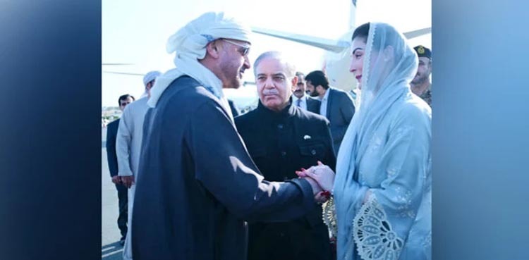 Imran Riaz, Gill booked in Maryam-UAE president's fake picture case