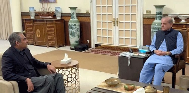Mohsin Naqvi briefs PM Sharif about his recent US visit