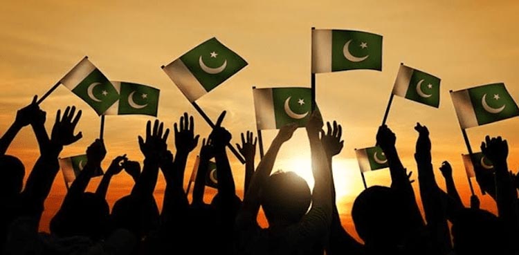 Pakistani diaspora must unite to promote national interests
