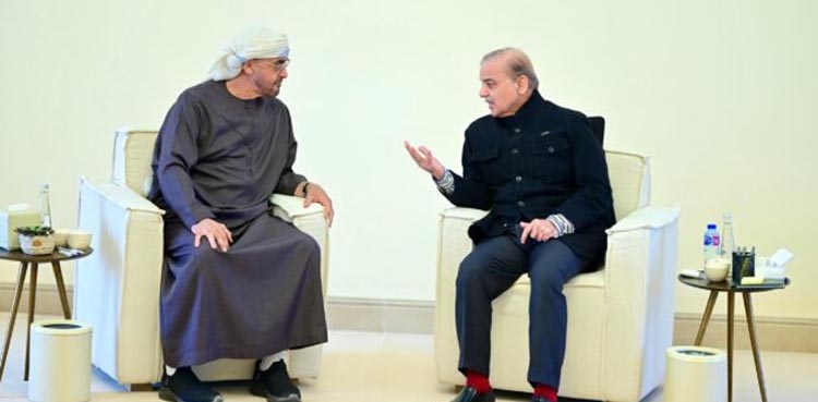 PM Shehbaz, UAE President reaffirm to strengthen bilateral ties