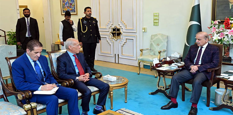 PM Shehbaz hails Morocco for repatriating Pakistanis survivors of Dakhla incident