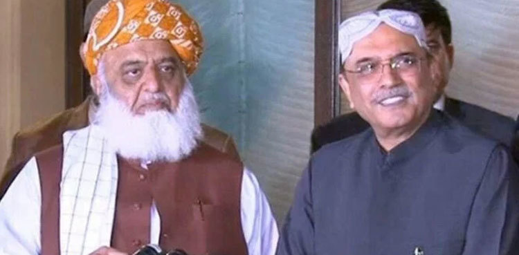 PECA amendment: President Zardari-Fazlur Rehman conversation revealed