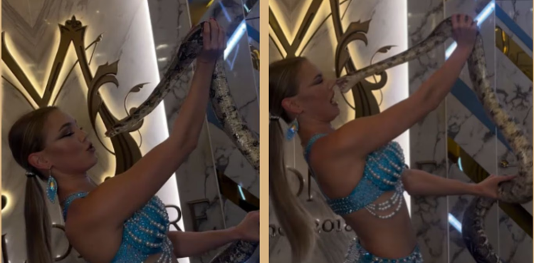 WATCH: Model bitten on the nose by snake during risky photoshoot