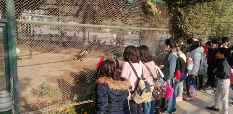 No more picnics, study tours for school students