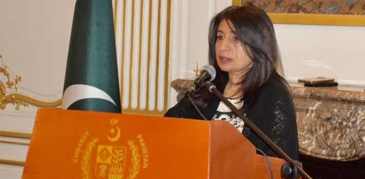 Kashmir Solidarity Day observed at Embassy of Pakistan, France