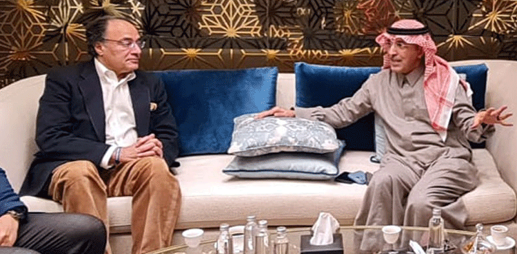 Pakistan, Saudi Arabia vow to further cement economic ties