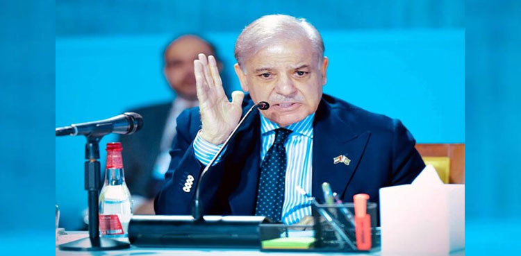 PM Shehbaz urges strengthening climate financing in his address to WGS