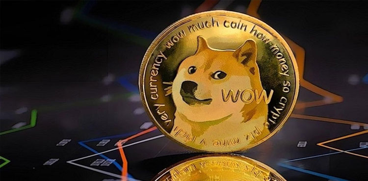 DOGE to PKR: Conversion rate; February 12, 2025