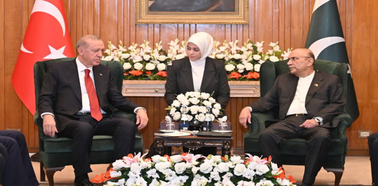 President Zardari for stronger trade, economic ties with Turkiye