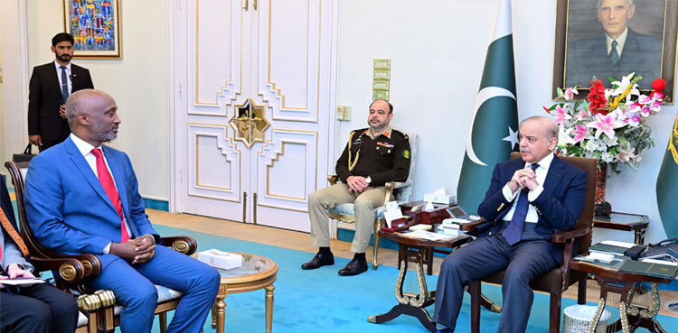 PM Shehbaz vows to advance objective of combating climate change