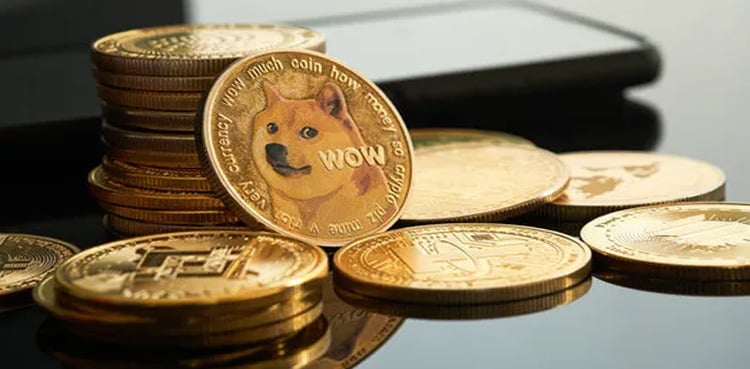 DOGE to PKR: Conversion Rate; June 23, 2025