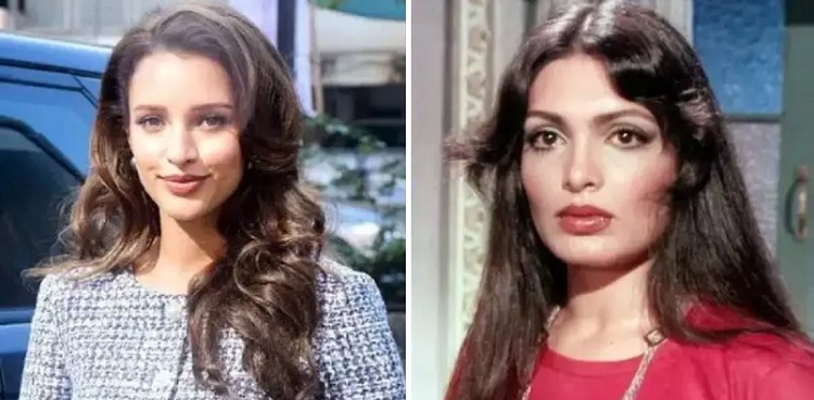 Triptii Dimri set to essay Parveen Babi in the biopic?