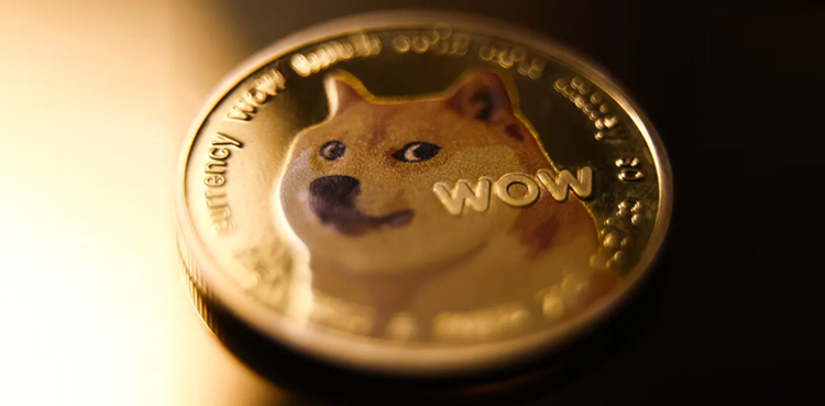 DOGE to PKR: Conversion rate; March 10, 2025