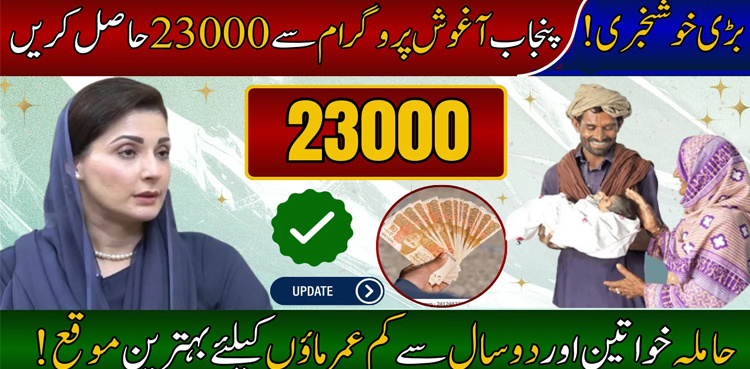 Here's how to apply for Punjab's Aghosh program 2025