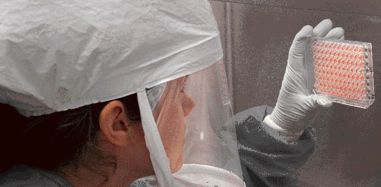 US reports first outbreak of deadly H7N9 bird flu since 2017