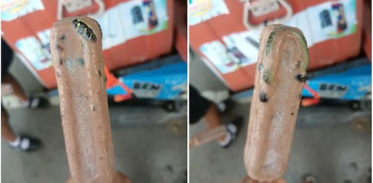 Ice cream surprise turns shocking as man finds a snake inside
