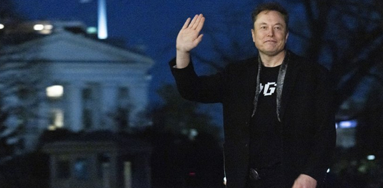Elon Musk offers $100 to voters who sign petition against 'activist Judges'