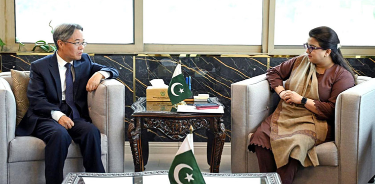 Pakistan, China explore AI training programs for students