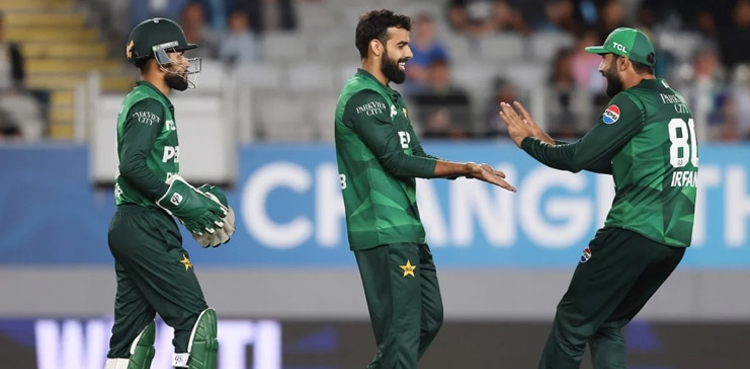 New Zealand post 204 against Pakistan in third T20I