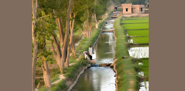 Pakistan’s Canal Irrigation System: A Lifeline for Agriculture