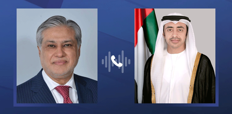 Ishaq Dar apprises UAE counterpart of NSC decisions on Indian actions