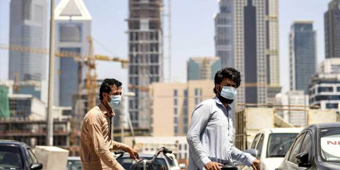 over 172,144 Pakistanis including 38274 drivers went abroad for work