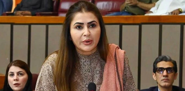 PPP to keep opposing canals project until taken back: Shazia Marri