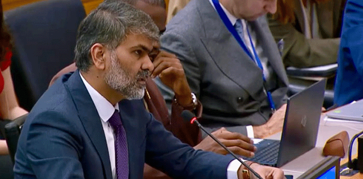 Pakistan urges global drive to block illicit arms flows to BLA, TTP