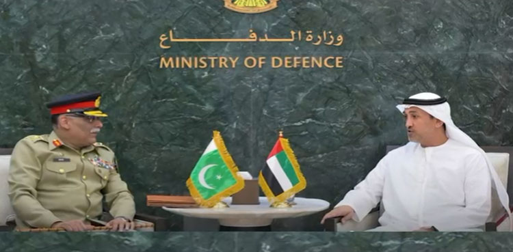 CJCSC meets UAE state defence minister, chief of staff