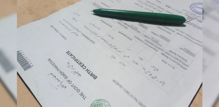 Maryam Nawaz revokes birth and death registration fees across Punjab