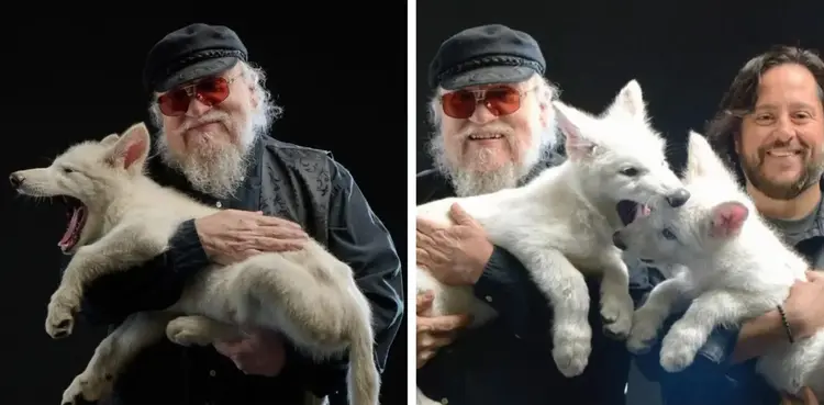 ‘Game of Thrones’ creator shares photos with resurrected dire wolf