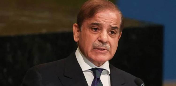 India will have to pay price for its blunder: PM Shehbaz