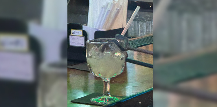 Snake falls into woman's lime juice, leaves her stunned