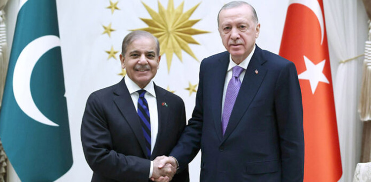 Turkish President Erdogan reiterates support for Pakistan