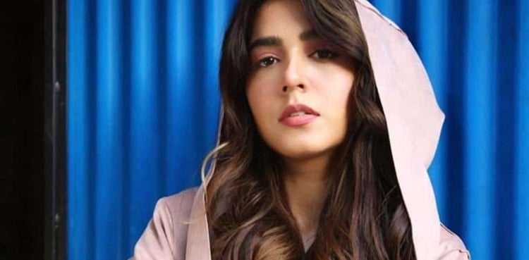 Who brought Mansha Pasha into showbiz industry?