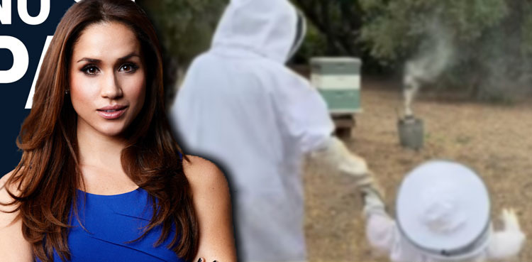 Princess Lilibet joins Meghan Markle for a beekeeping adventure