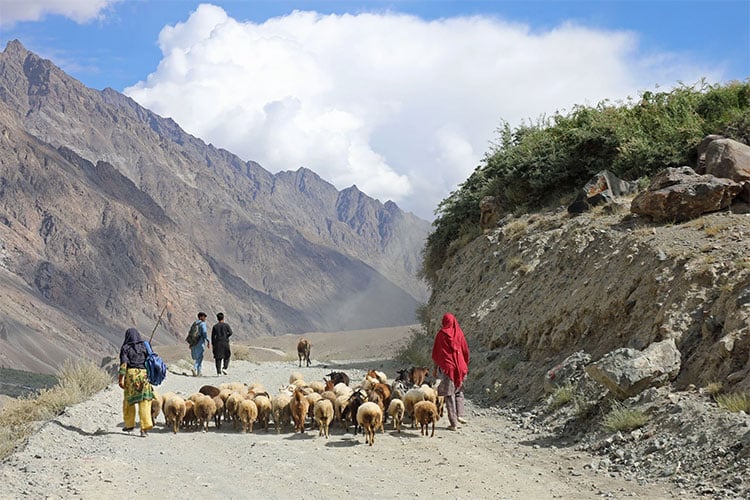 Pakistan’s new climate minister on water, justice and a warming world